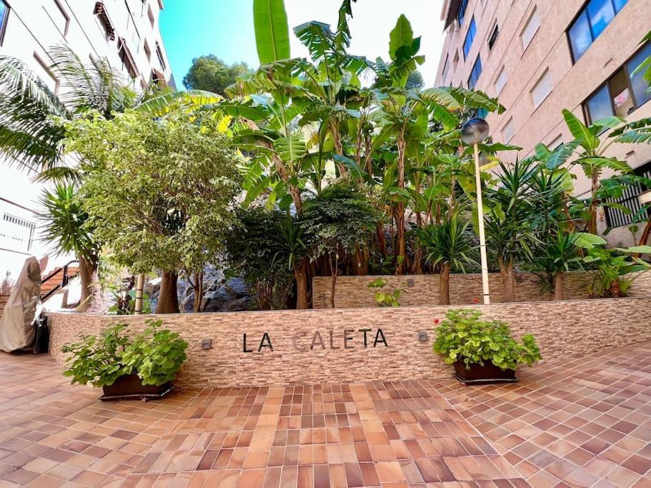 דירות לה הרדורה La Caleta Sea Views And Pool מראה חיצוני תמונה